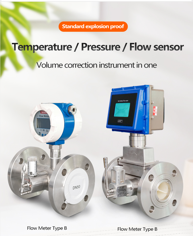 Gas Flow Meter with Compensation 